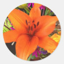 Buscar tiger pegatinas Flor