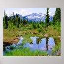 Buscar vancouver posters Bosque