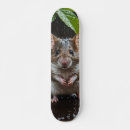 Buscar ratón tablas de skate Para todos