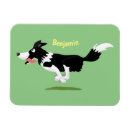 Buscar border collie imanes Perro