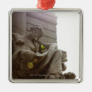 Buscar indio americano adornos Historia