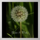 Buscar planta posters Agua