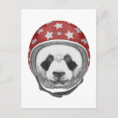 Buscar aviador postales Gorra