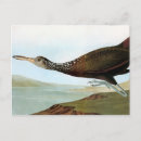 Buscar audubon postales Granger
