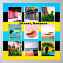Buscar azul y negro arte Tropical