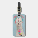 Buscar adornado accesorios Zoológicos