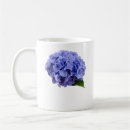 Buscar floristería tazas Primavera
