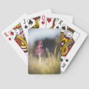 Buscar macro barajas de cartas Planta