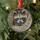 Buscar mapache adornos Animales