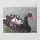 Buscar amo a mis hijos postales General y unisex