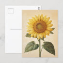 Buscar fondo amarillo brillante postales Flor