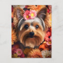 Buscar yorkshire terrier postales Floral