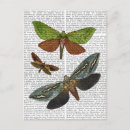 Buscar mariposa postales Flores