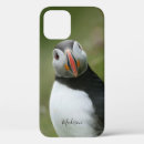 Buscar pingüino lindo iphone fundas Animales