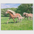 Buscar caballo lindo papel de regalo Divertido