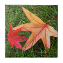 Buscar hojas de otoño azulejos Arce