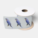 Buscar bluebirds Pájaro