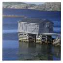 Buscar terranova azulejos Océano