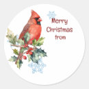Buscar cardinal bird pegatinas Navidades