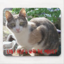 Buscar calico cat alfombrillas de raton Felino