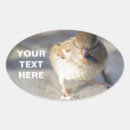 Buscar líder pegatinas Divertido