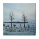 Buscar quebec azulejos Canadá