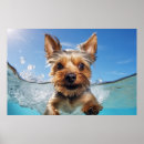 Buscar yorkshire terrier arte Adorable