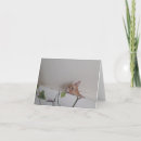 Buscar boo tarjetas General y unisex