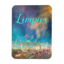 Buscar lavaplatos imanes Español