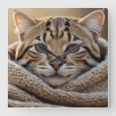 Buscar gatos relojes de pared Para ellos