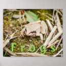 Buscar anfibio fotografía Anfibios