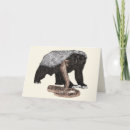 Buscar tejón tarjetas Ilustración