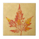 Buscar naturaleza azulejos Hoja