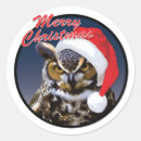 Buscar pájaros del búho pegatinas Para niños