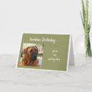 Buscar perro bulldog tarjetas Feliz