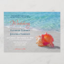 Buscar seashell de la playa Prometida