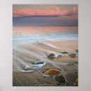 Buscar puerto vallarta arte Arena