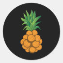 Buscar piña divertida pegatinas Frío