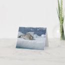 Buscar foca tarjetas Océano