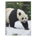 Buscar gigantes cuadernos Panda gigante