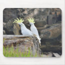 Buscar cockatoo electronica Pájaro