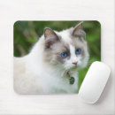 Buscar ojos hermosos alfombrillas de raton Gatito