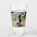 Buscar mallard duck tazas Vida silvestre