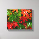 Buscar otoñal lienzos Botánico