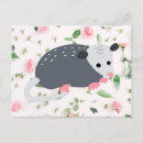 Buscar opossum postales Bah panda