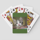 Buscar ojos verdes barajas de cartas Gatito