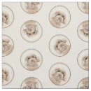 Buscar mini telas Caniche