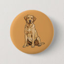 Buscar labrador retriever chapas Canino
