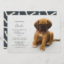 Buscar gatitos invitaciones Foto