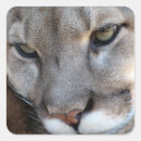 Buscar pantera pegatinas Puma